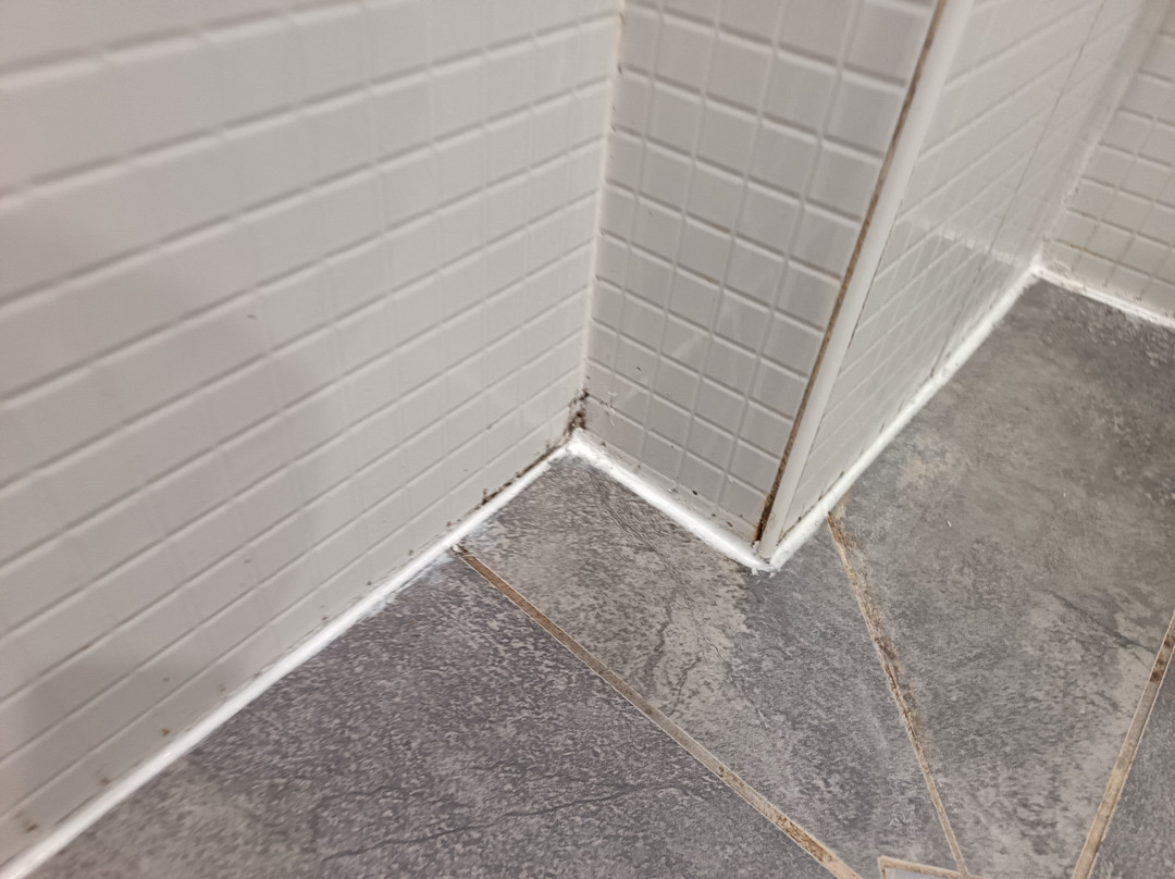 钟楼多勒酒店主图