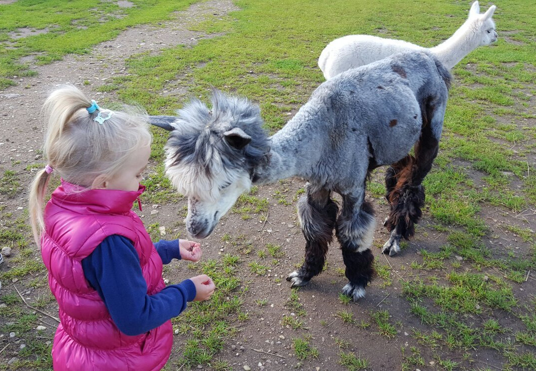 Recreation Complex Raksi-Amatas Novads必去景点