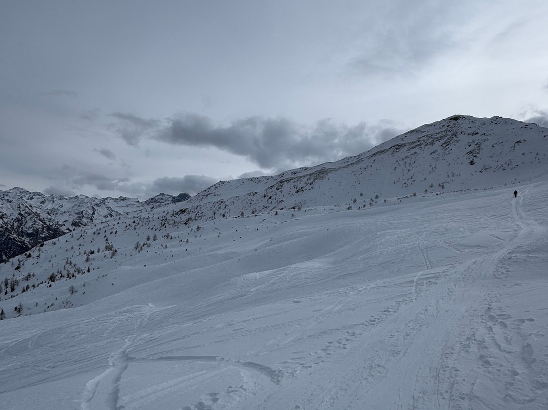 Independent Snowboard School-韦比尔必去景点