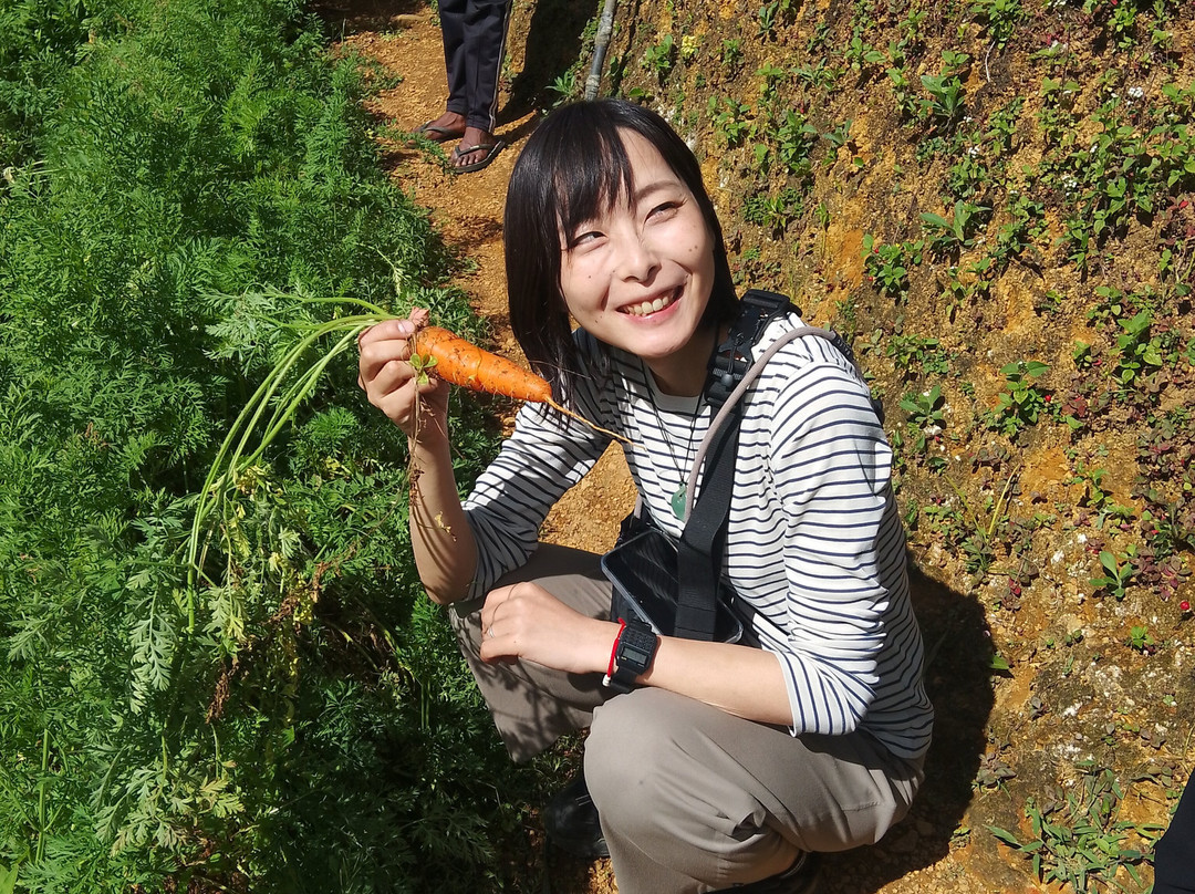 Nadu Traditional Home Garden Cooking Class And Restaurant-Labukelle必去景点