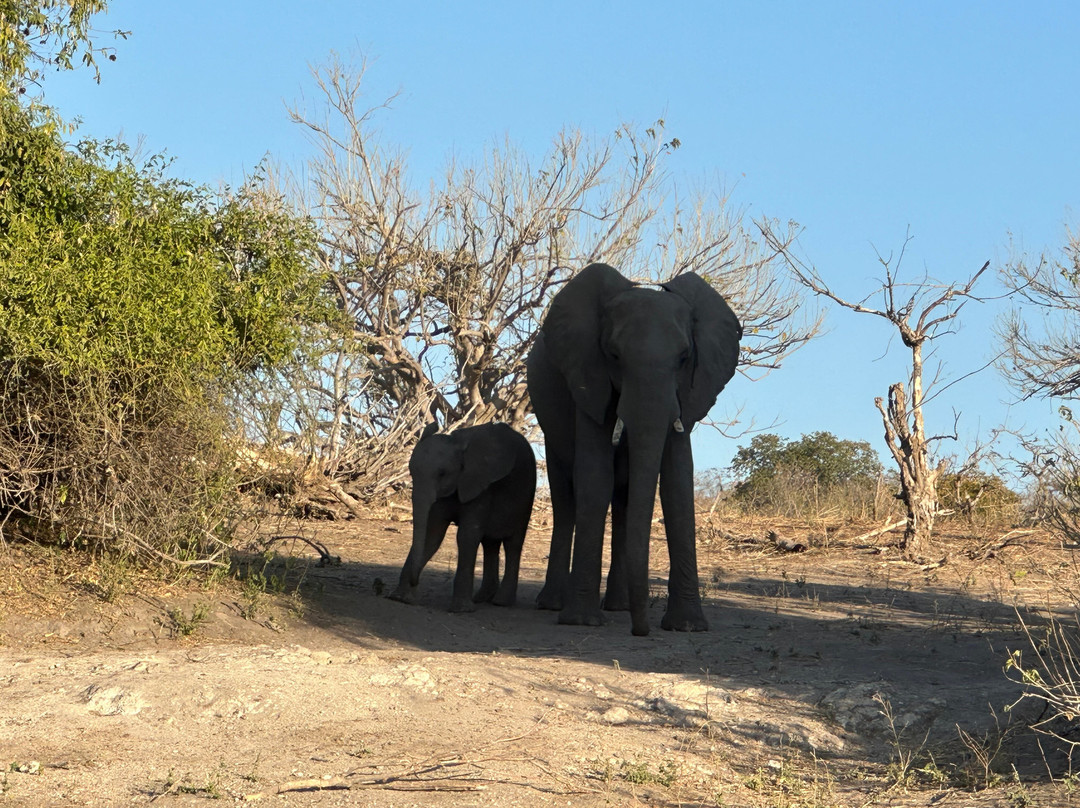 Dusty Foot Tours Namibia-温德和克必去景点