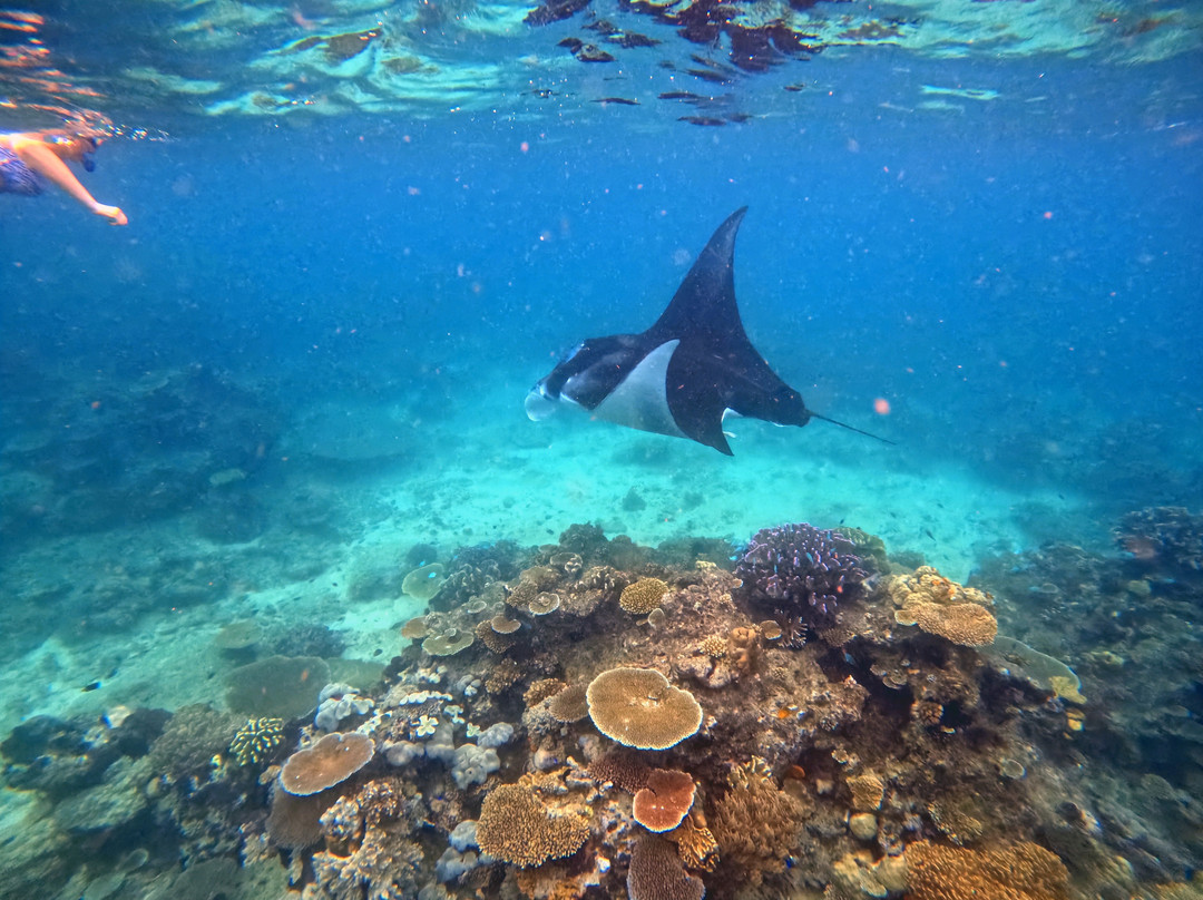 Dive Academy Fiji-Waiyevo必去景点