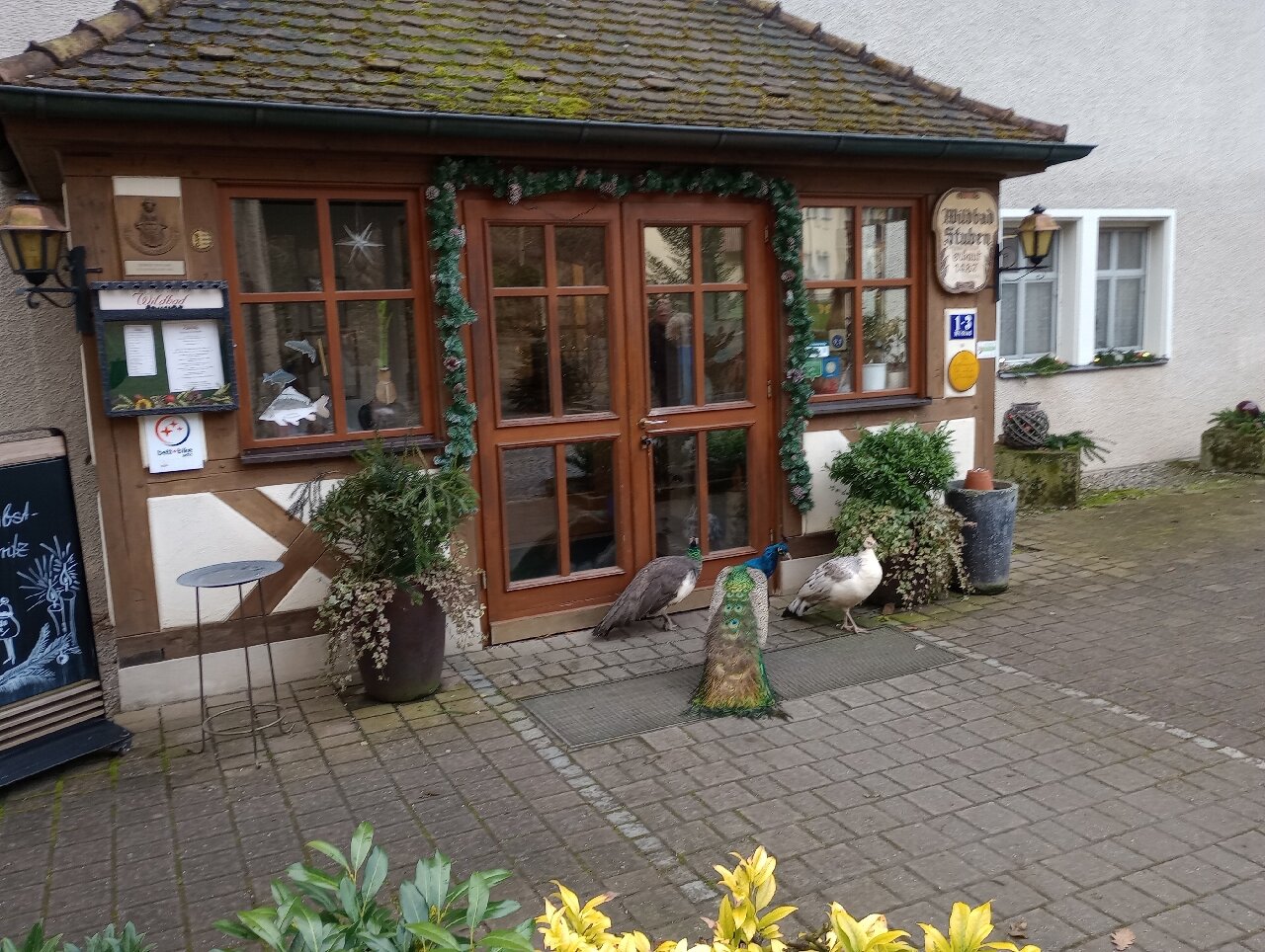 Waldgasthof Wildbad-官方