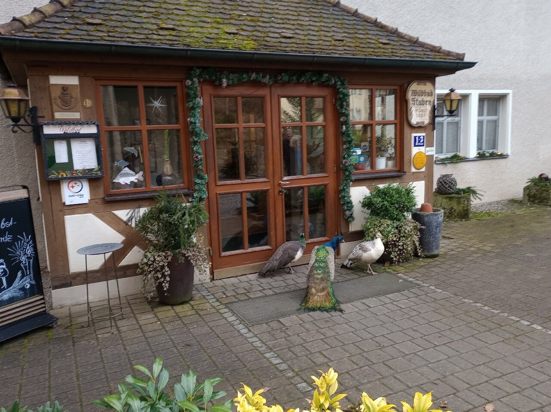 Windelsbach酒店住宿-Waldgasthof Wildbad