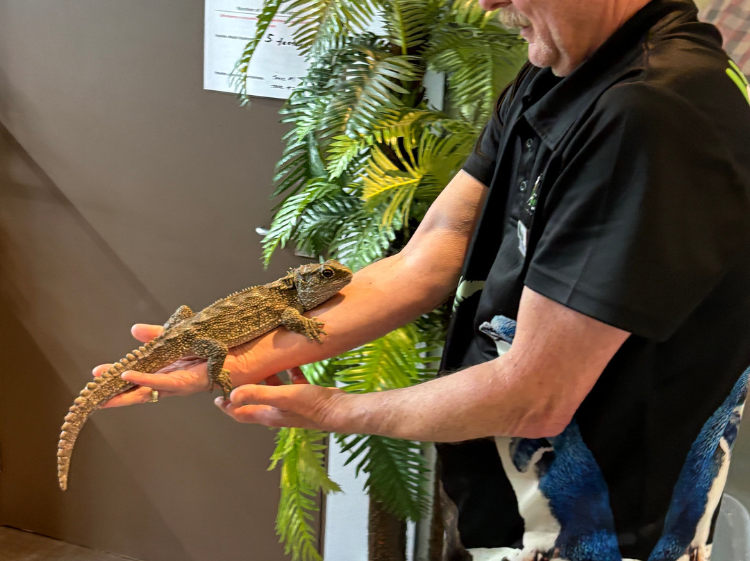 西海岸奇异鸟馆-弗朗茨约瑟夫（冰川）必去景点