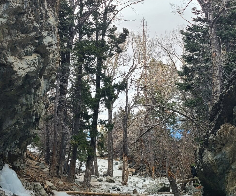 Zapata Falls-Mosca必去景点