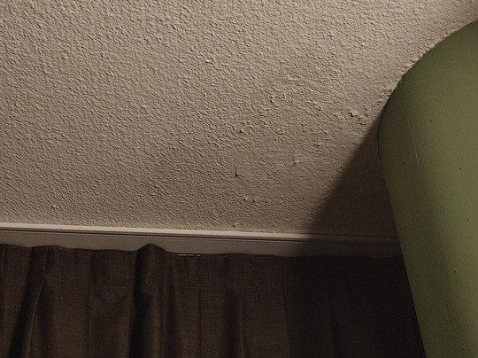 Best Quality Hotel Politecnico主图