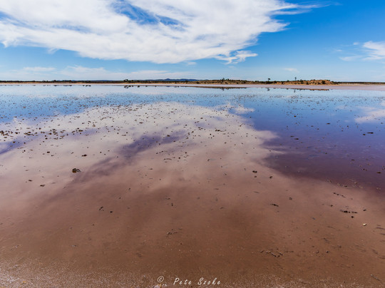 Lake Gilles Conservation Park-Kimba必去景点