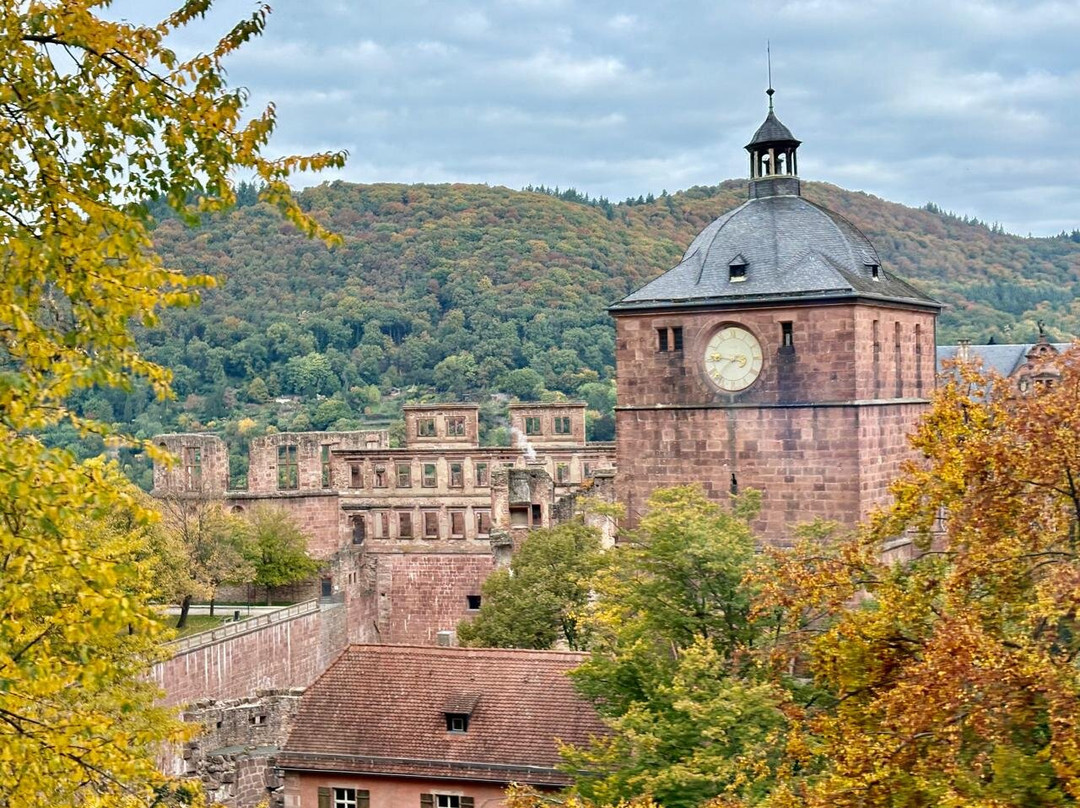 海德堡旧城区-海德尔堡必去景点