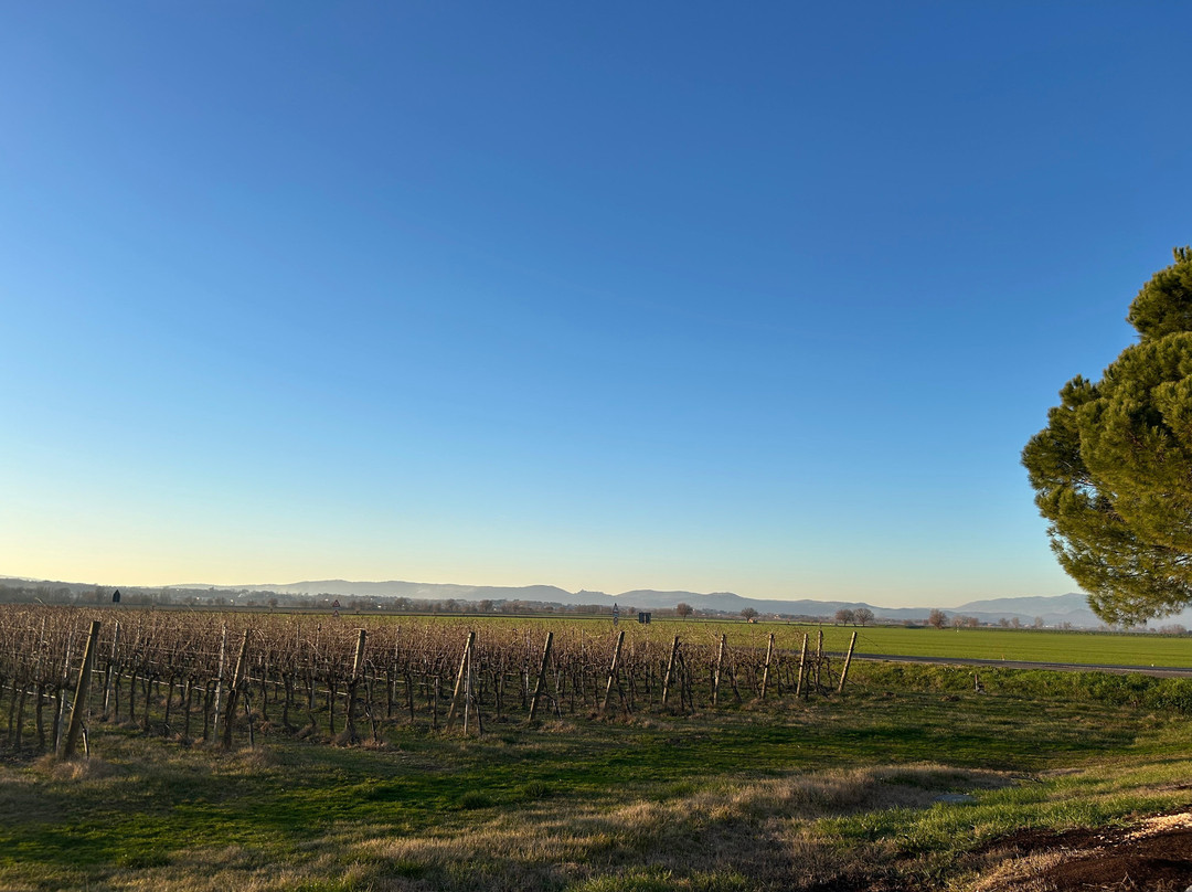 Tenuta di Frassineto-阿雷佐必去景点