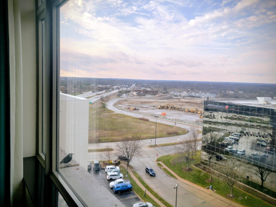 Drury Plaza Hotel St. Louis Chesterfield主图