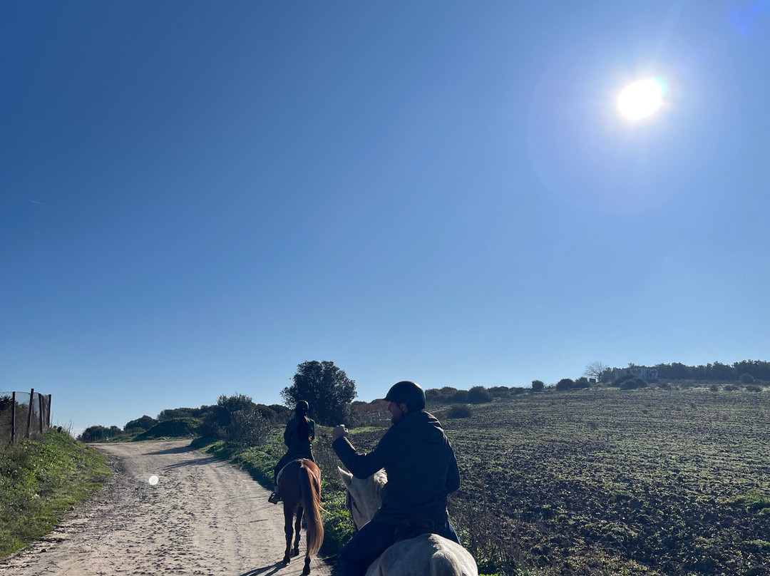 Al-Mesquid Stables-Sanlucar de Barrameda必去景点