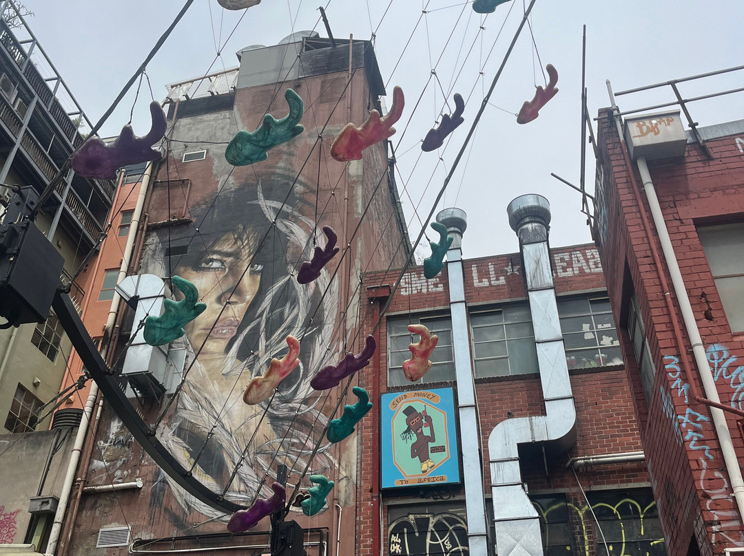 自由徒步之旅-墨尔本必去景点