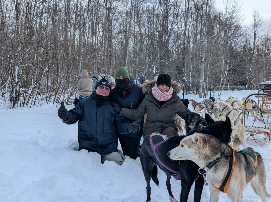 Windrift Kennel-奥里利亚必去景点