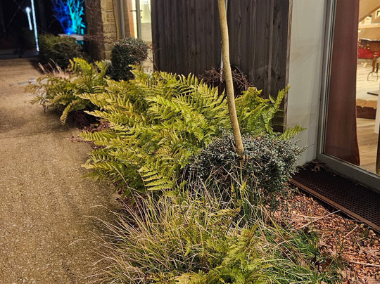 Les Jardins De L'éveil-Saint-Thonan必去景点