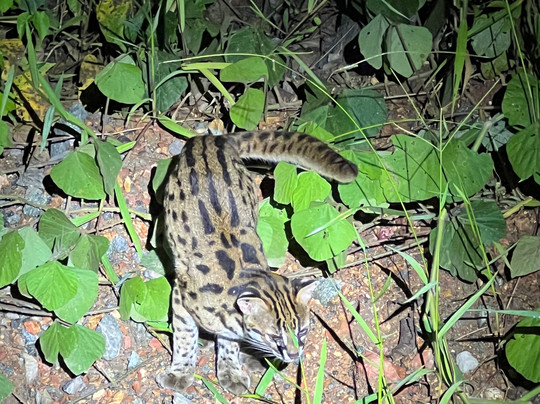 Unearth Adventure-拉布拉多必去景点