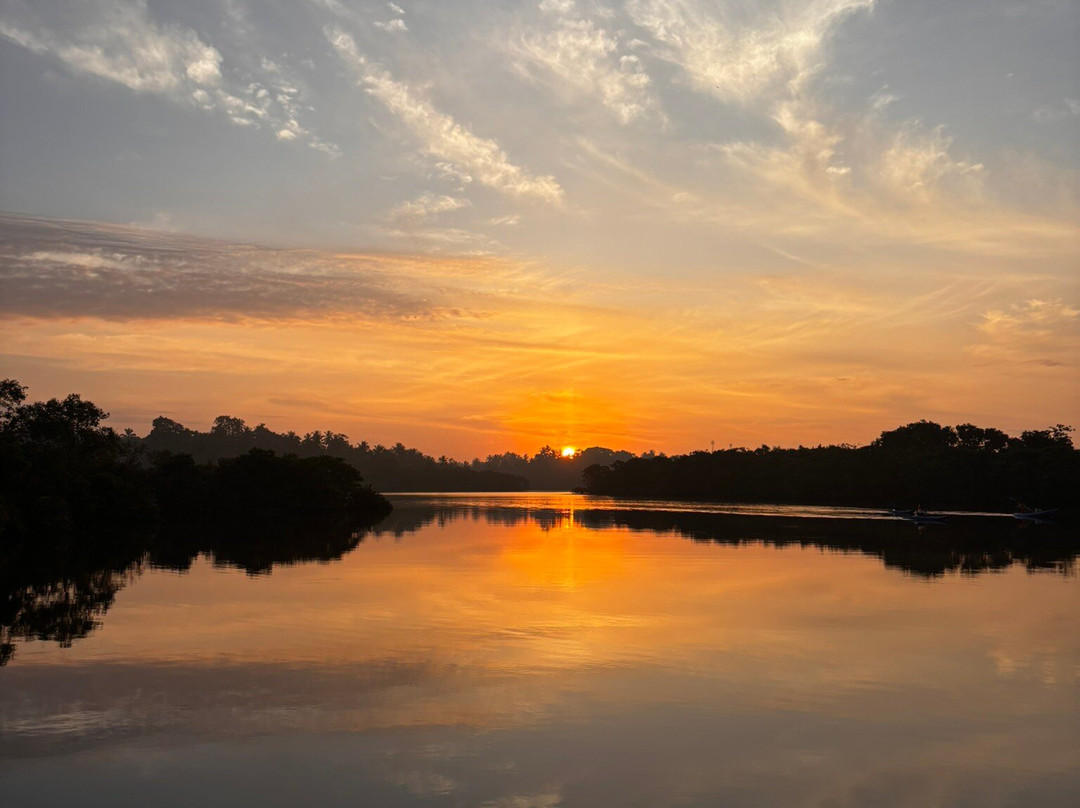 Mirissa Eco Lagoon Safari-美蕊沙必去景点
