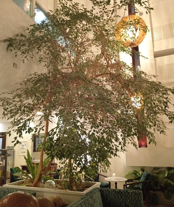 卡文水晶酒店主图