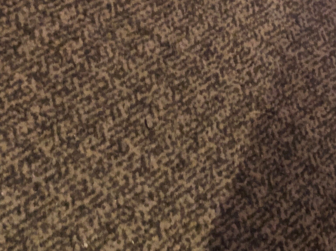 Premier Inn Frome Hotel主图