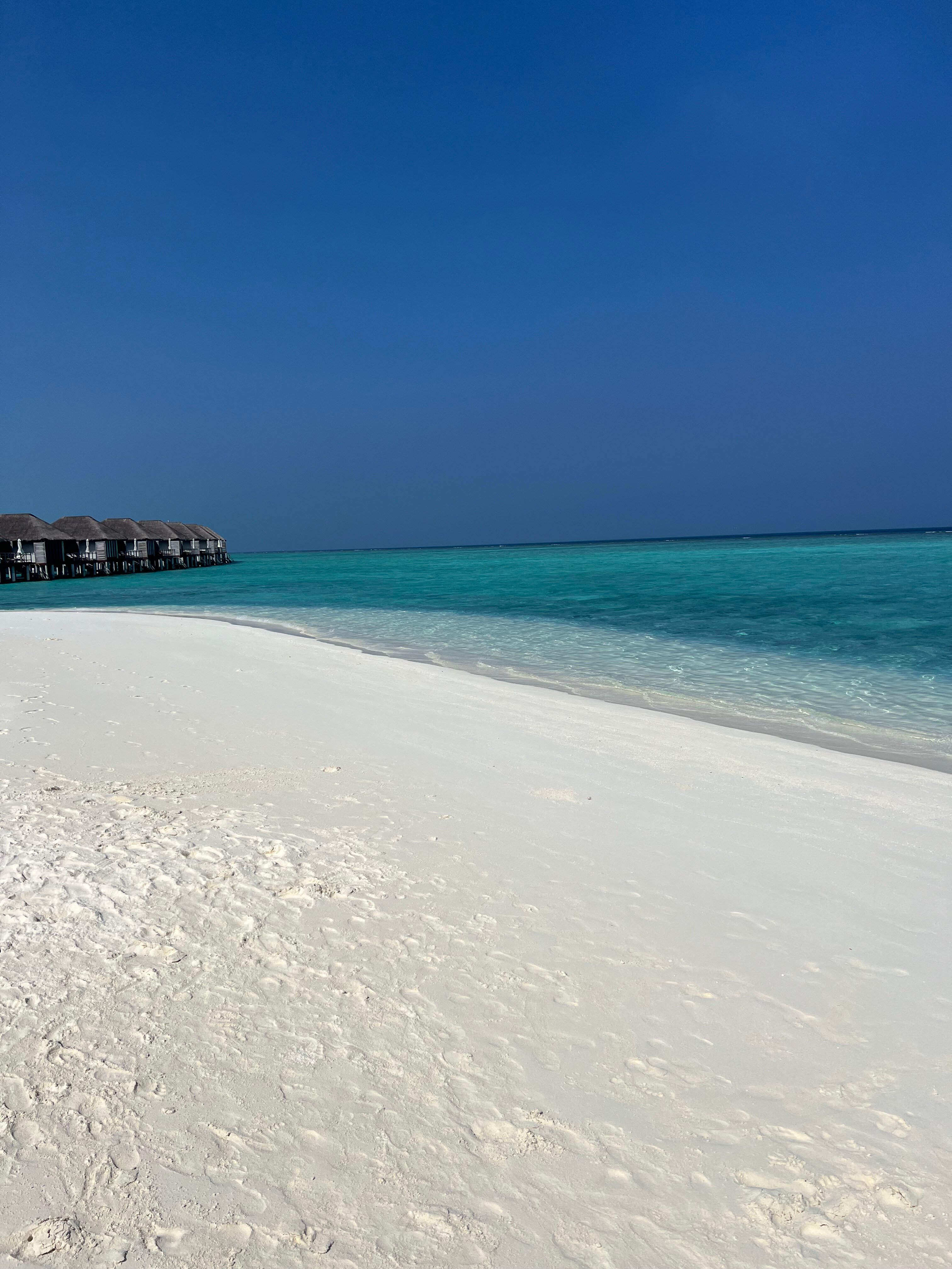 维拉沙鲁岛马尔代夫拉古娜海滩酒店-泳池