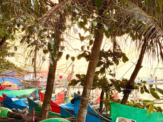 Atul Godha (Tour Guide of India)-乌代布尔必去景点