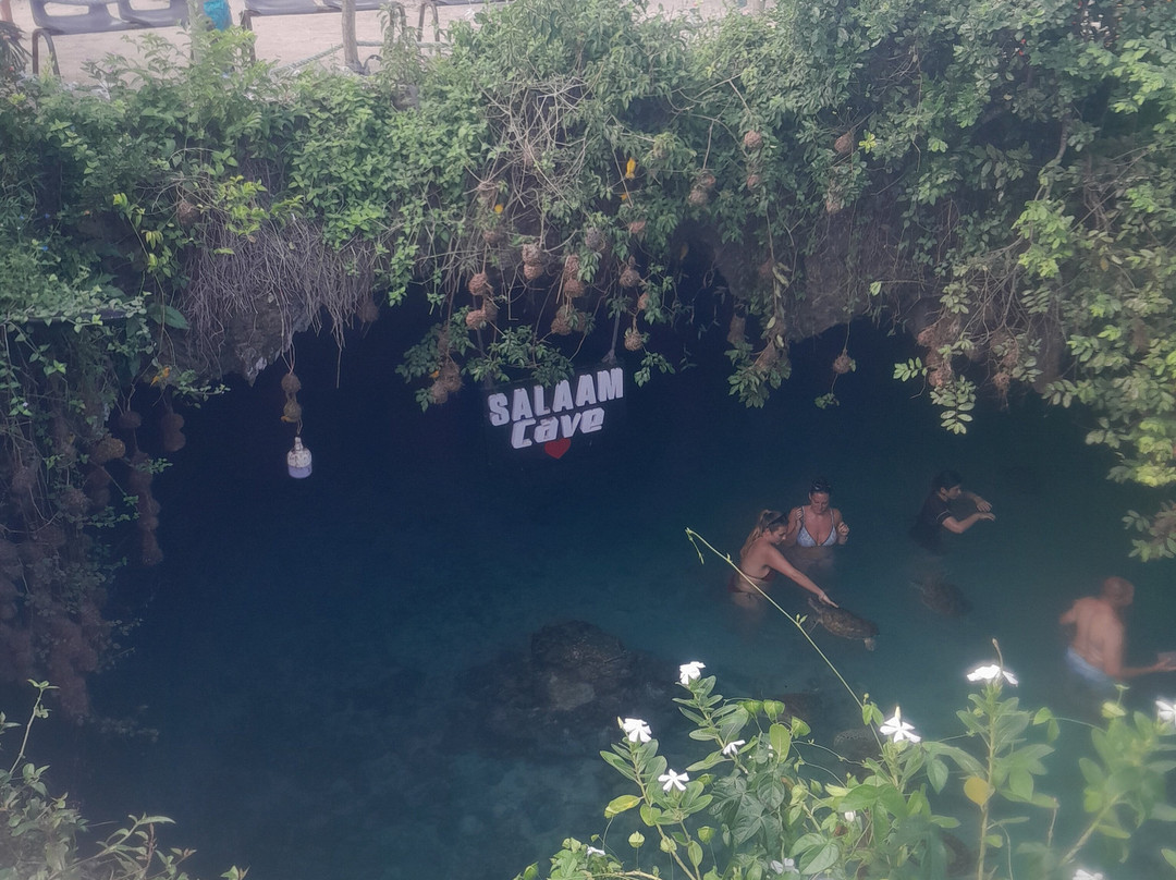 Zanzione Tour and Travel-桑给巴尔市必去景点