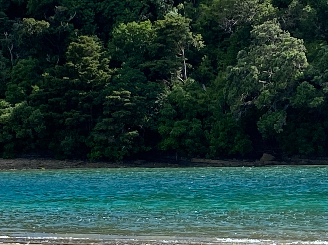 Wenderholm Regional Park-怀韦拉必去景点