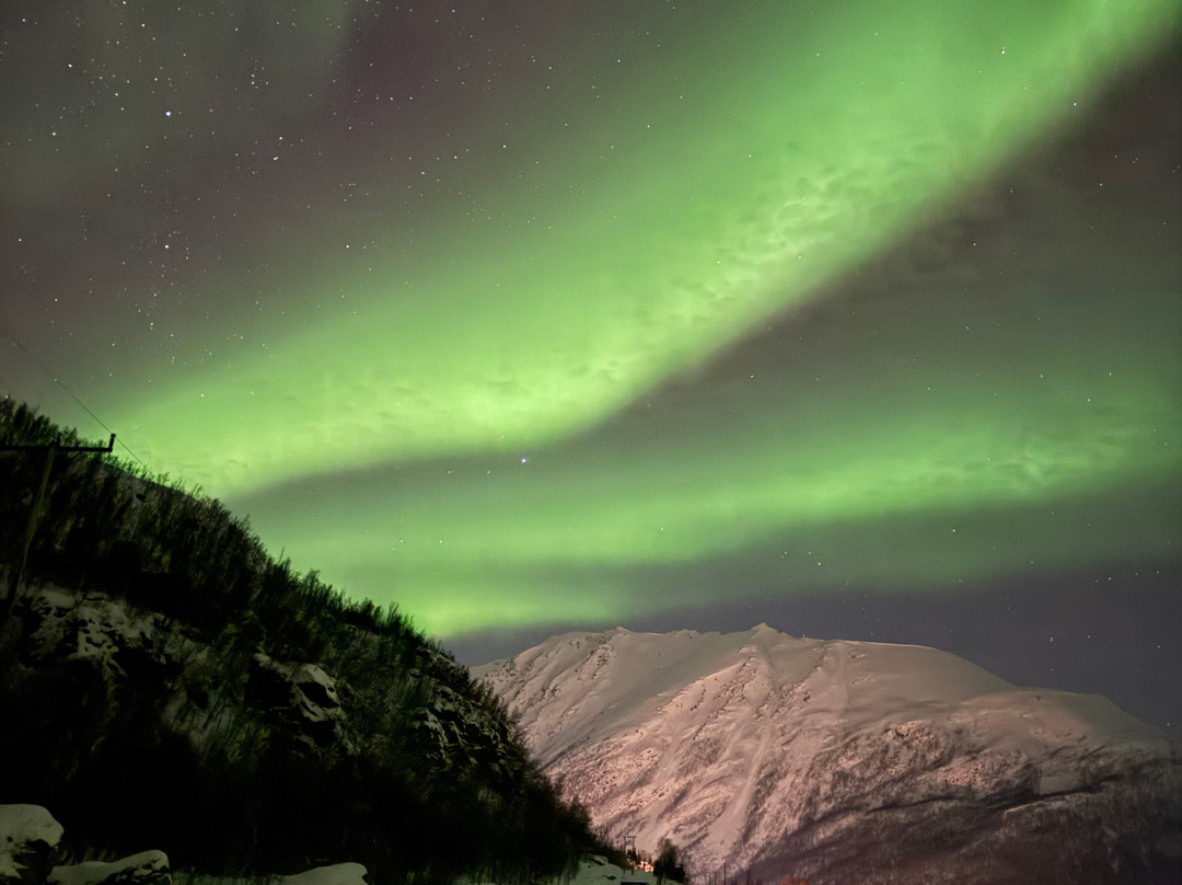 Steam Tours-特罗姆瑟必去景点