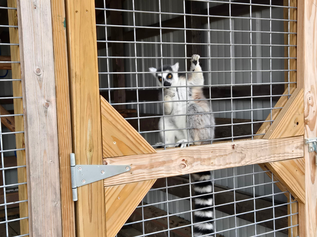 Grapetown Vineyard-弗雷德里克斯堡必去景点