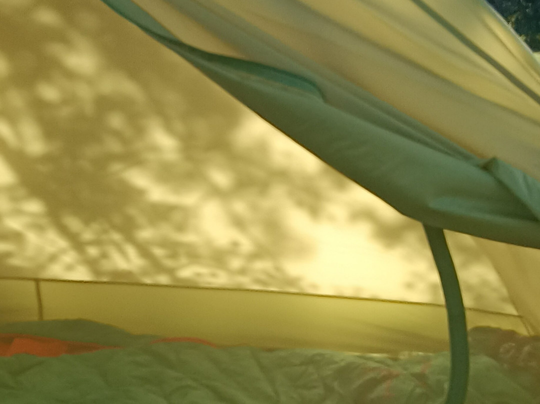 Via Transilvanica-Piatra Fantanele必去景点