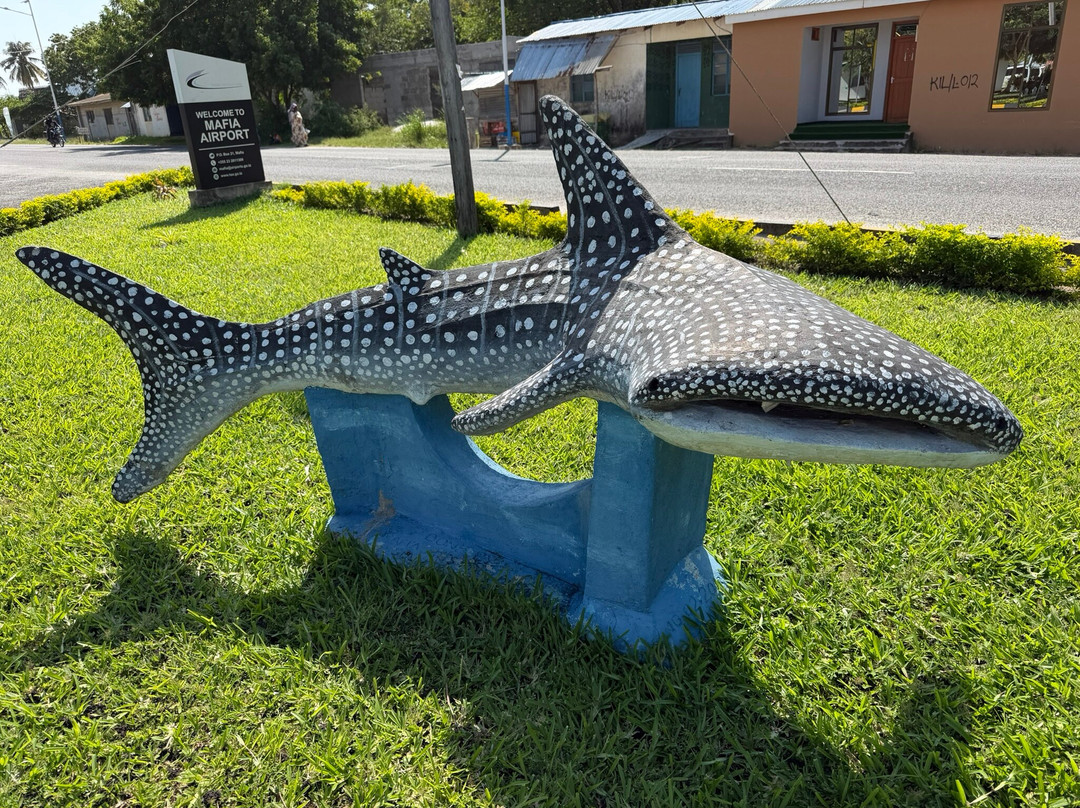 Eco Shamba Kilole Lodge主图