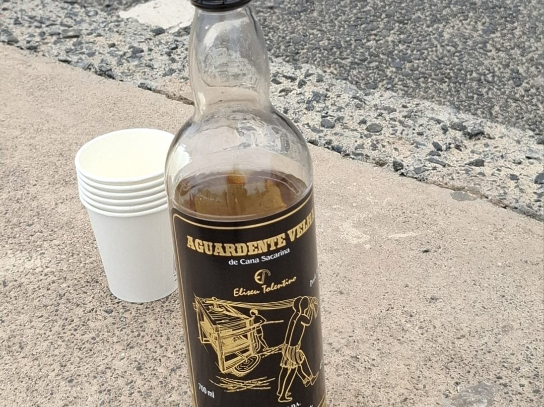 Monte Verde-明德卢必去景点