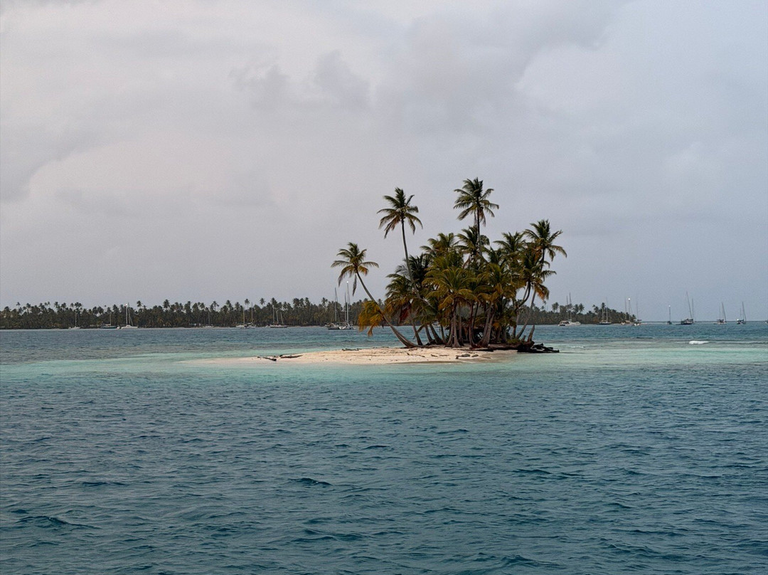 Flying Ginny Catamaran Charter-埃尔波韦尼尔必去景点