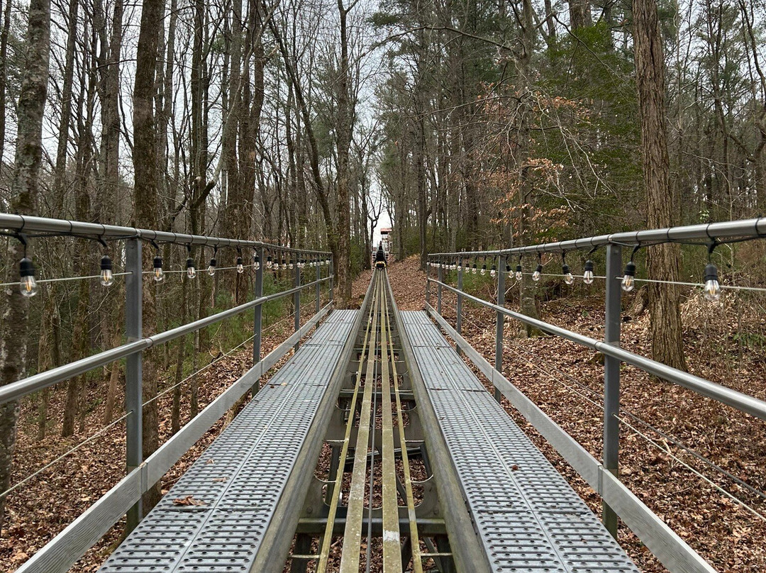 Georgia Mountain Coaster-海伦必去景点