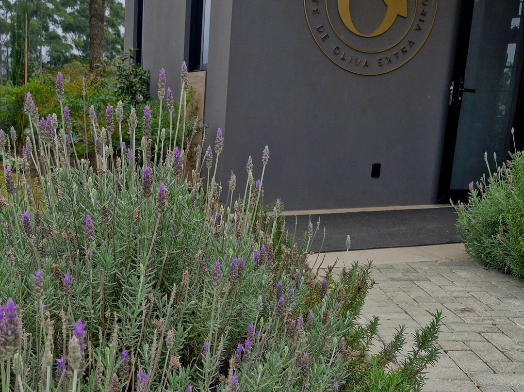 Quinta Do Vienzo-Rancho Queimado必去景点