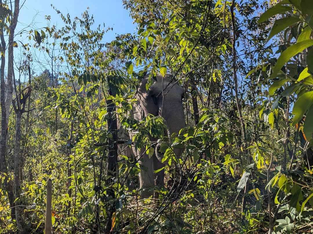 Chang Chill-Mae Win必去景点