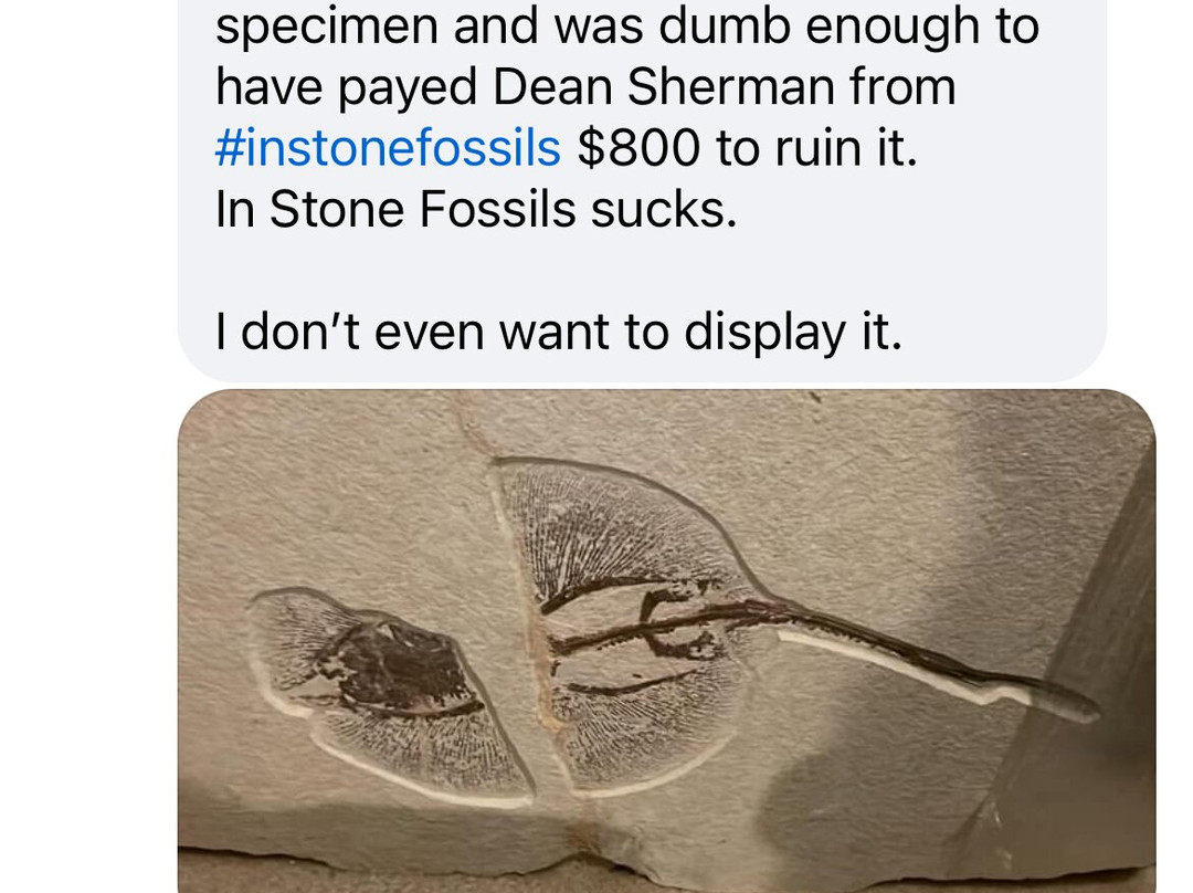 In Stone Fossils-Kemmerer必去景点