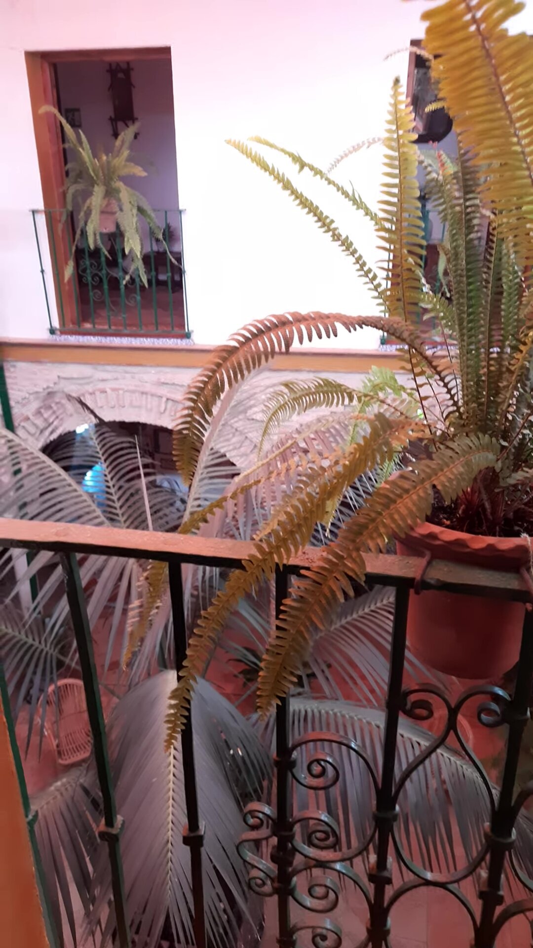 Hostel Comercio-酒店景观