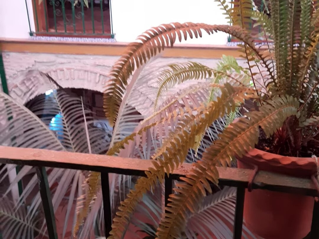 Hostel Comercio主图