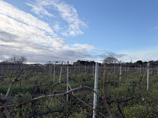 Tenuta Papale-Belpasso必去景点