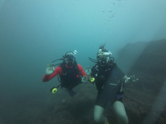 Mirissa Dive Center-美蕊沙必去景点