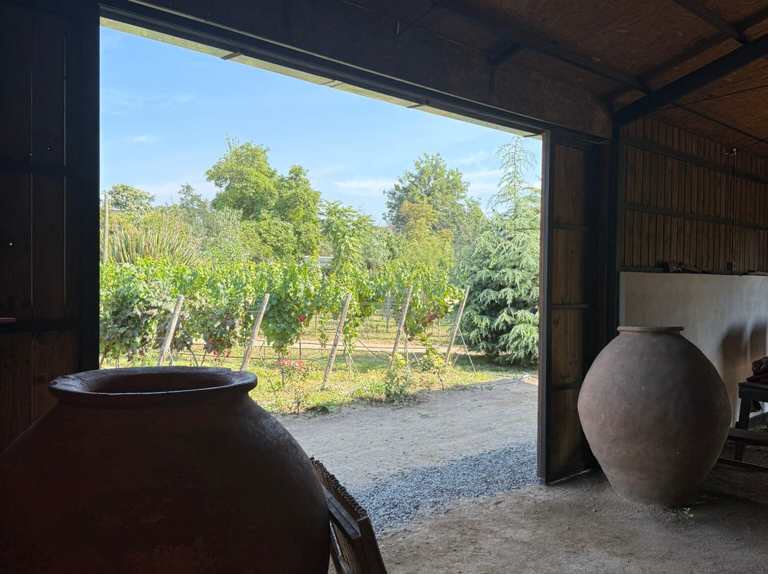 Campo La Quirinca-Isla de Maipo必去景点