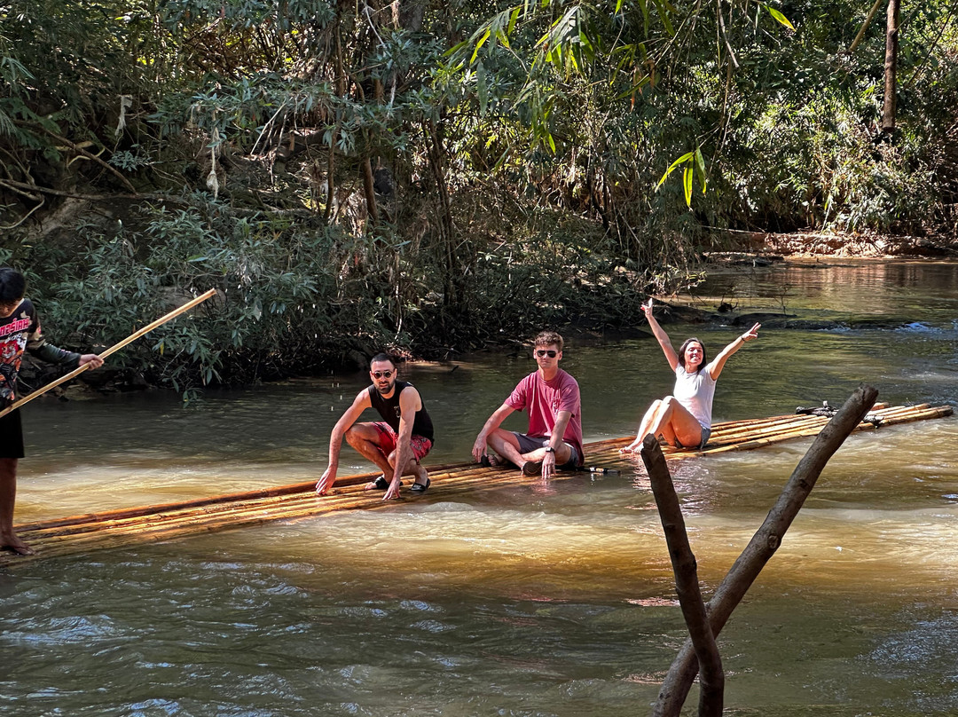 Pon Elephant Thailand-清迈必去景点