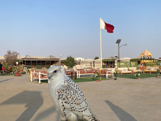 Gulf Dunes Toursim-多哈必去景点