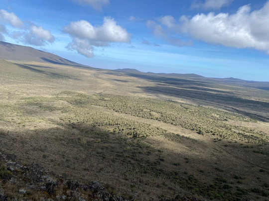 Sere adventure Safari-莫西必去景点