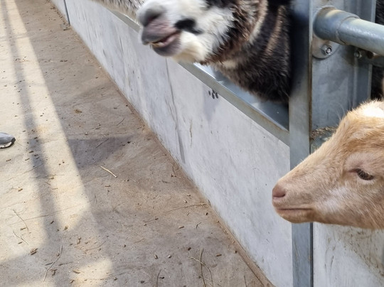 Monk Park Farm-Bagby必去景点