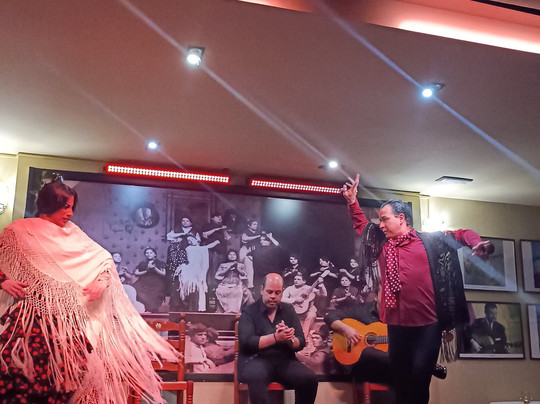 Tablao Flamenco La Cantaora-塞维利亚必去景点