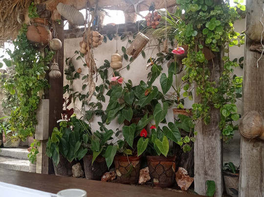 Temazcal Tonatiu Iquzayampa-Fuentezuelas必去景点