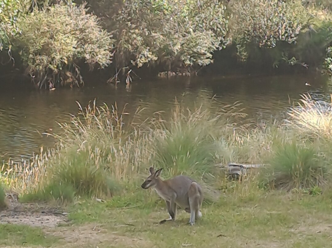 Thredbo River Track-Thredbo Village必去景点