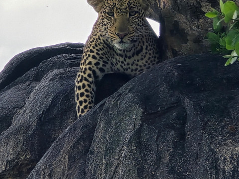 Key2Africa Safaris-阿鲁沙必去景点